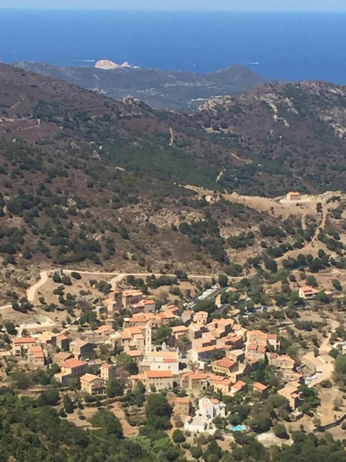 Villa Grand Confort A 500M De La Plage De Lozari Palasca  Dış mekan fotoğraf