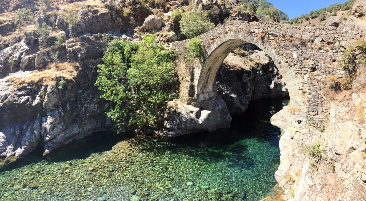 Villa Grand Confort A 500M De La Plage De Lozari Palasca  Dış mekan fotoğraf