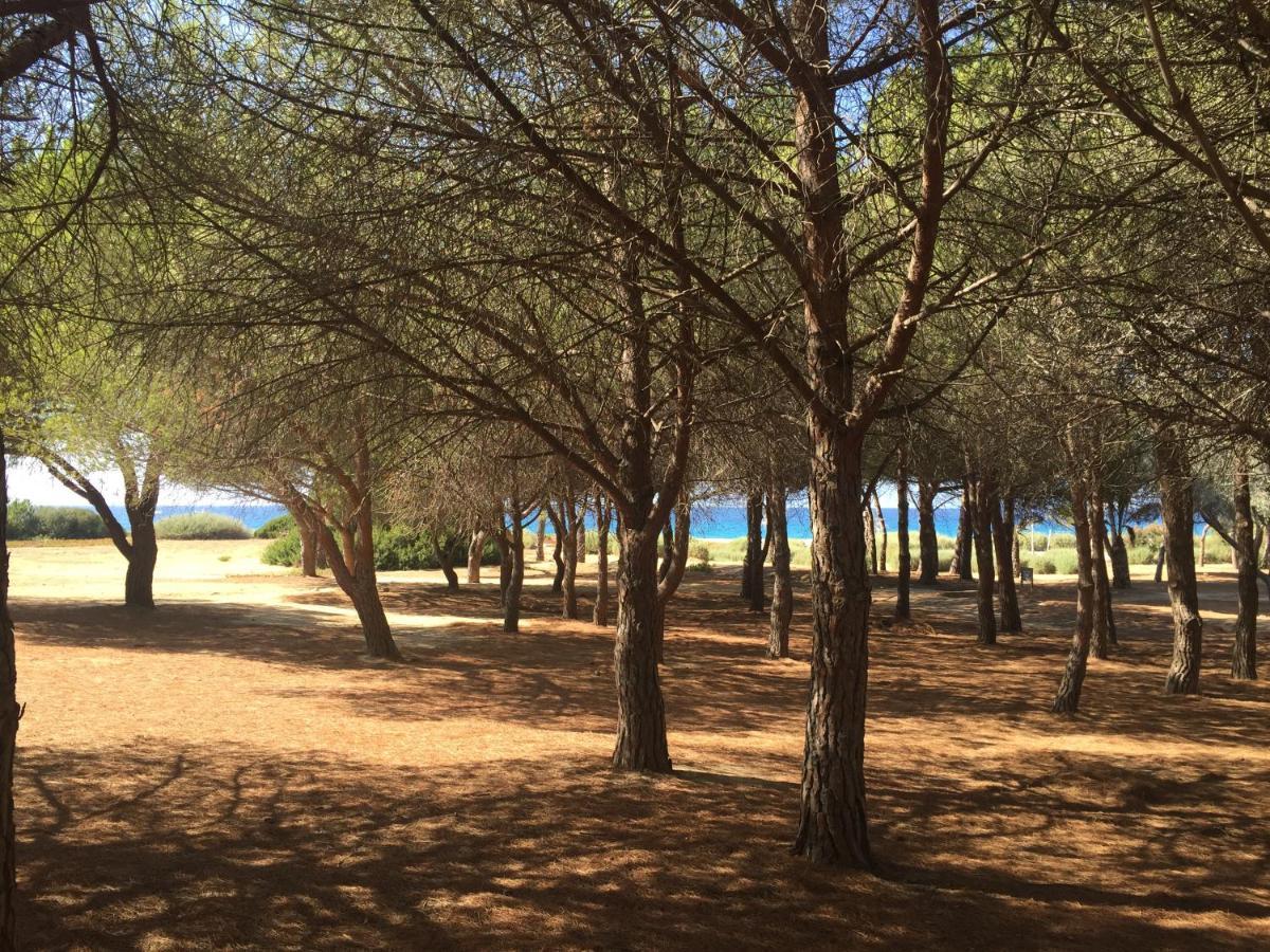 Villa Grand Confort A 500M De La Plage De Lozari Palasca  Dış mekan fotoğraf