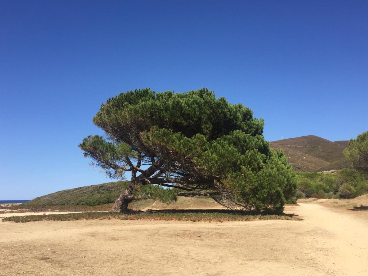 Villa Grand Confort A 500M De La Plage De Lozari Palasca  Dış mekan fotoğraf